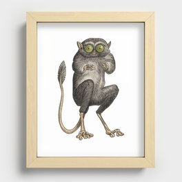 Tarsier Monkey Recessed Framed Print
