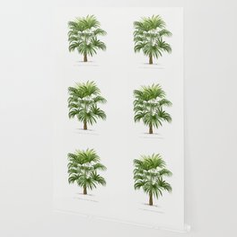 8 Les Palmiers Histoire Wallpaper