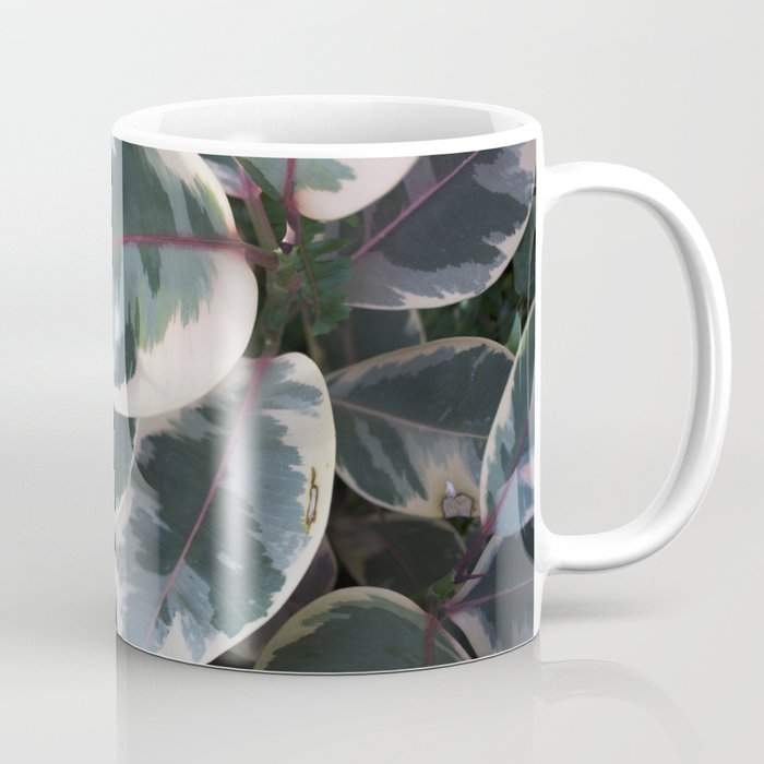 Ficus elastica 'Ruby'  //  Rubber-Plant  // The Botanical Series Coffee Mug