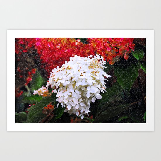 Christmas Colours Art Print