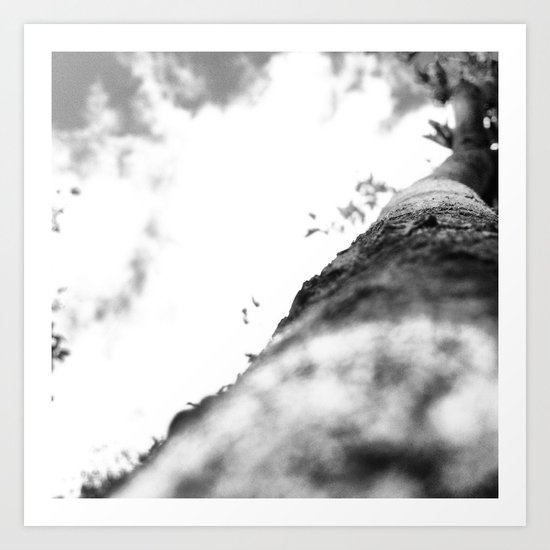Eyes Aloft I Art Print
