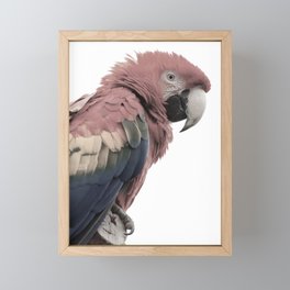 Red Parrot Framed Mini Art Print
