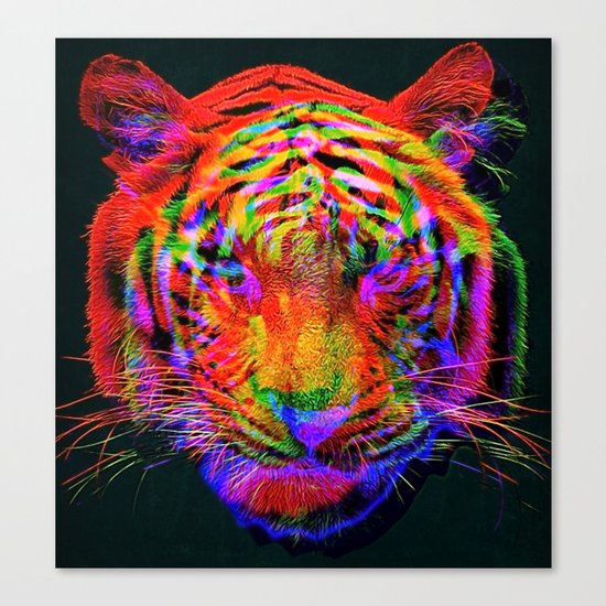 Beautiful Aberration Canvas Print
