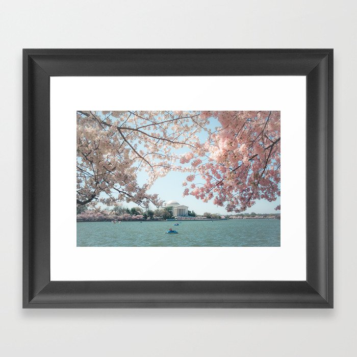 Washington DC Cherry Blossoms II Framed Art Print