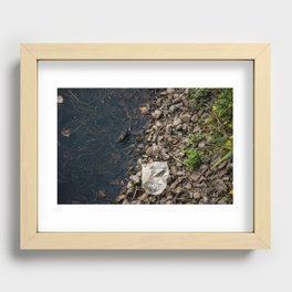 The Frog and the Trash Recessed Framed Print