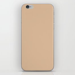 Cane Sugar Glaze iPhone Skin