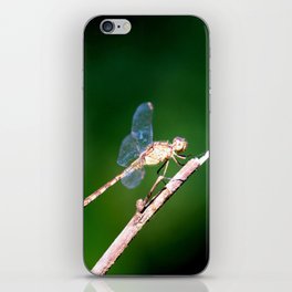 Invisible Wings iPhone Skin