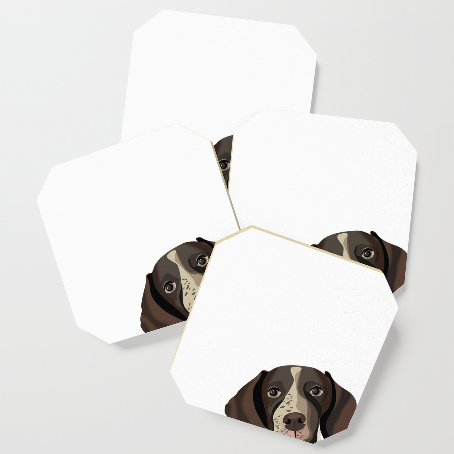 German Shorthair Pointer Peeking Dog Portrait Cute Art Gifts For