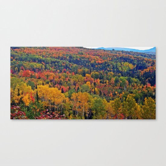 Pure Nature in October Canvas Print