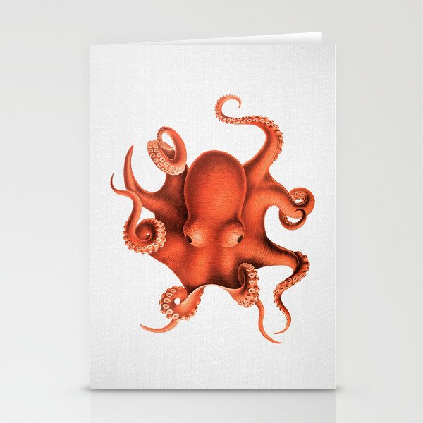 Octopus - Watercolor Stationery Cards