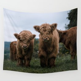 Scottish Highland Cattle Calves - Babies playing II Wall Tapestry