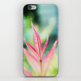 Sacred Bamboo iPhone Skin