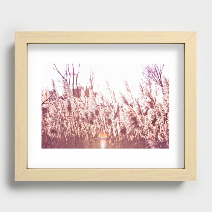 Sun Flare in Tall Grass Recessed Framed Print