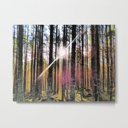 Nature's Sunlight in I Art  Metal Print | Sun Flare, Forest Landscape, Photographic Filter, Color, Digital Manipulation, Landscape, Nature, Forest Scene, Nature Walk, Trees 