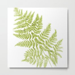 Fresh Fern Modern Botanical Metal Print