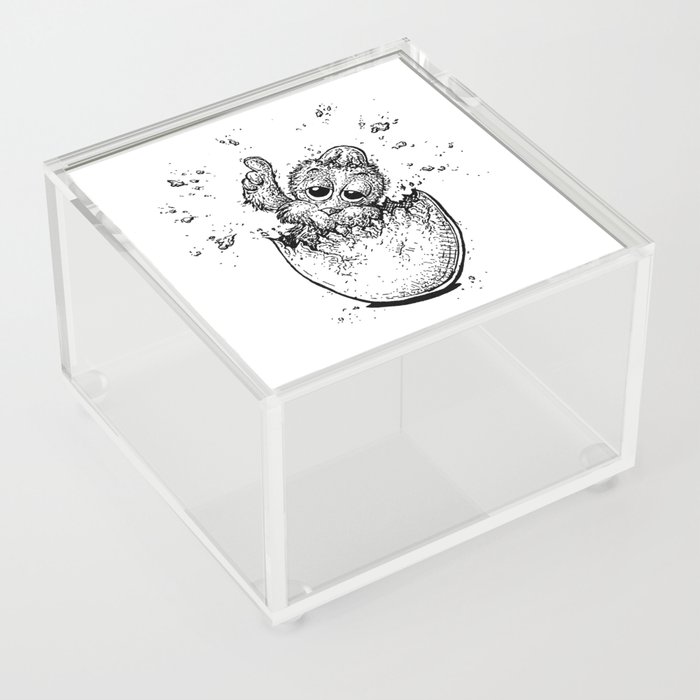 Hatched Hen Acrylic Box