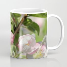 flowers of an apple tree  Coffee Mug | Leaves, Beautiful, Green, Plants, Photo, Nature, Background, Spring, Appletree, White 