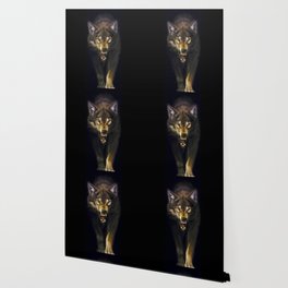 dark wolf Wallpaper