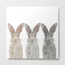 Triple Bunnies Metal Print | Eggs, Wildlife, Nature, Rabbit, Animal Rights, Easter, Childrens Art Print, Bunny, Chocolate, Bunnyrabbit 