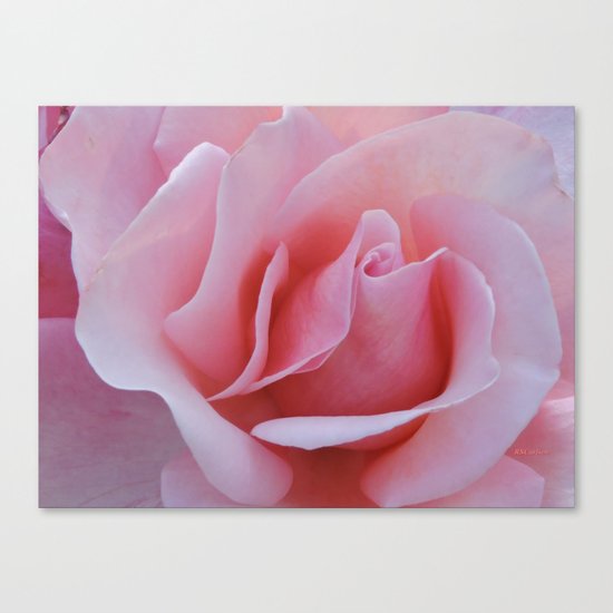 Rose Petal Pink Canvas Print