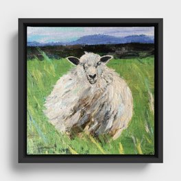 Big fat woolly sheep Framed Canvas