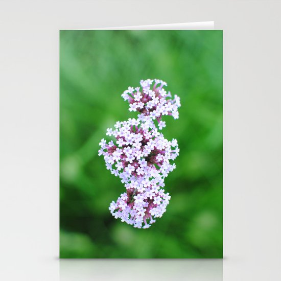 Bold Stationery Cards