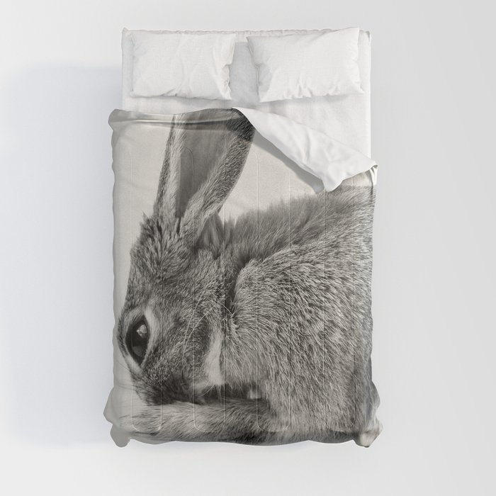 Rabbit Animal Photography Comforter