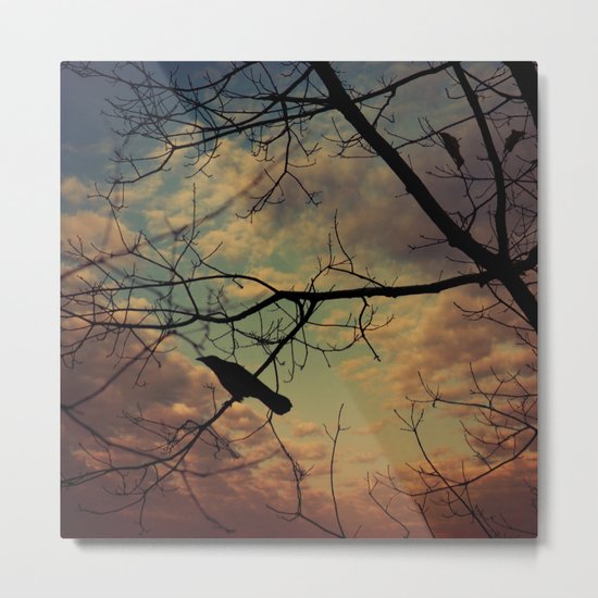 melancholy crow Metal Print