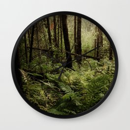 Itasca Ferns Wall Clock | Fern, Ferns, Forest, Woods, Minnesota, Nature, Forestfloor, Wood, Photo, Itascastatepark 