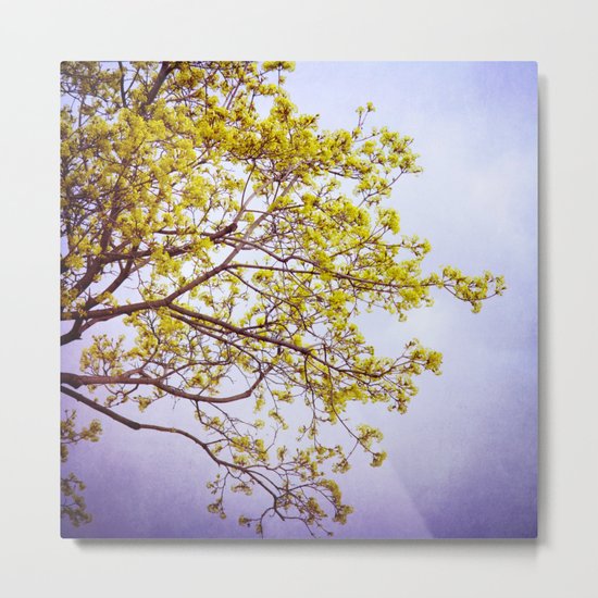 Zen Metal Print