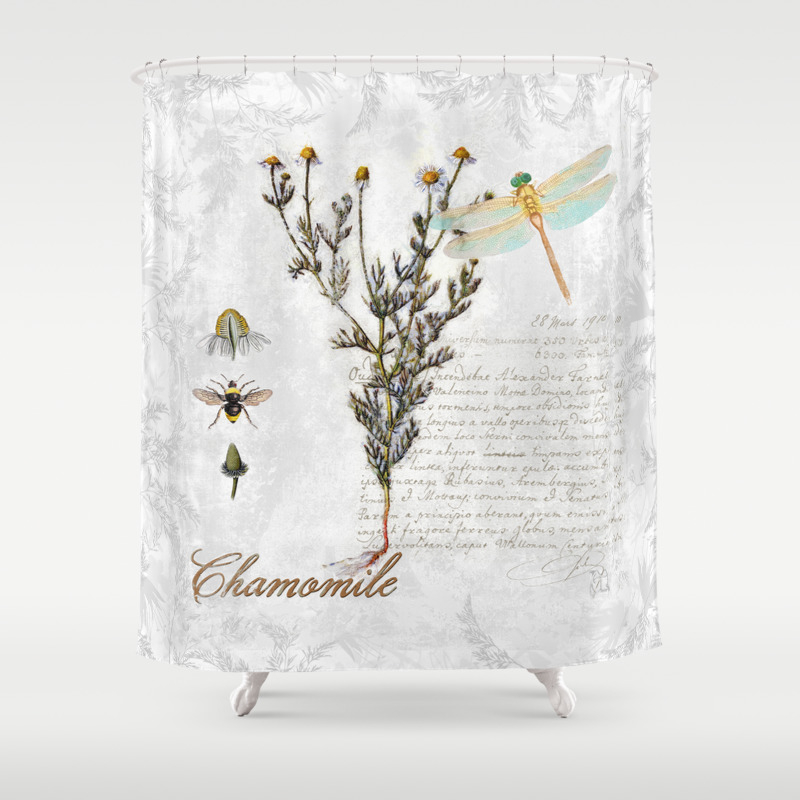 Chamomile Herb Dragonfly Bumble Bee Botanical Painting Cottage