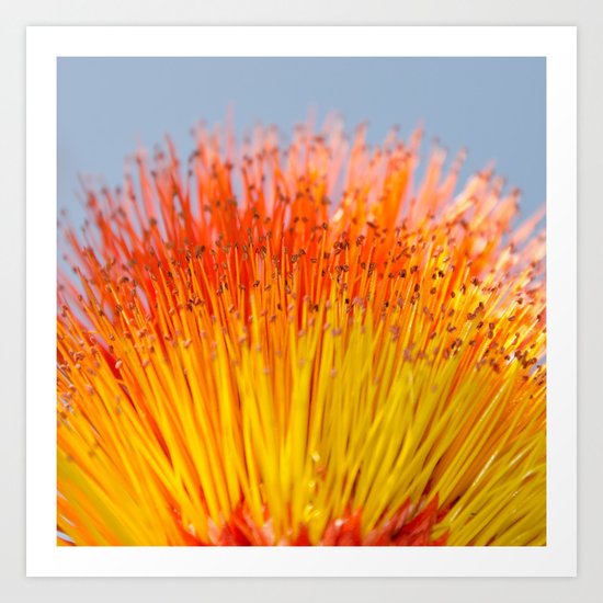 Tickle My Fancy Art Print