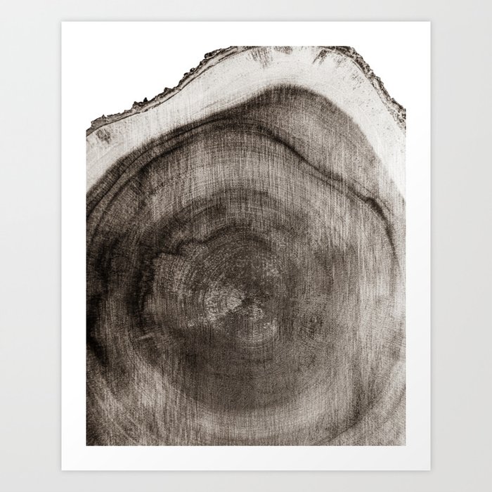 Tree Slice 01 Sepia Art Print