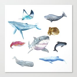 Ocean Friends Canvas Print