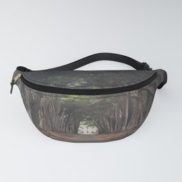 Cypress Tree Tunnel photograph Fanny Pack
