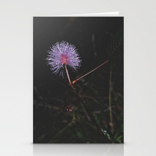 Rainforest Fairy Poof Stationery Cards