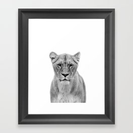 Lioness Framed Art Print
