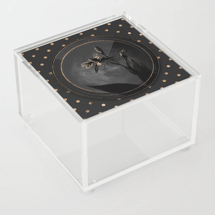 Shadowy Black Bandana of the Everglades Botanical Art with Gold Art Deco Acrylic Box