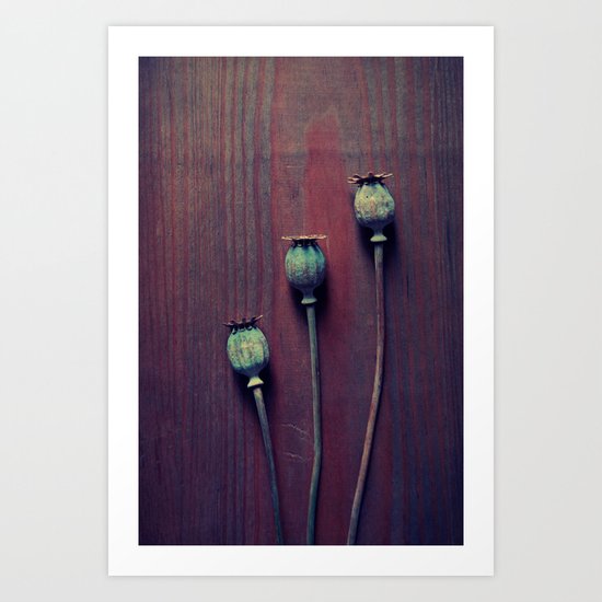capsules Art Print