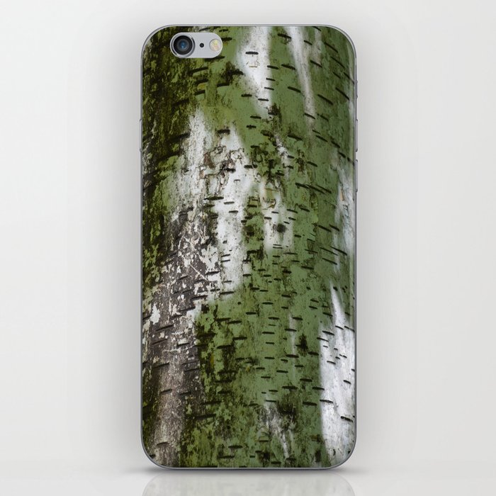 Birch Bark Pattern Green and White Wood Pattern Bring the Outdoors In iPhone Skin