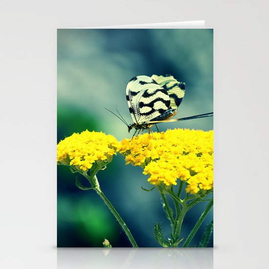 butterfly Stationery Cards