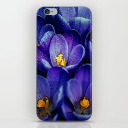 Purple Crocus Flower Market  iPhone Skin