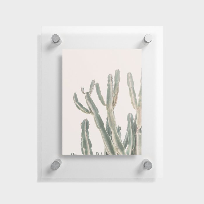 Sunrise Cactus Floating Acrylic Print