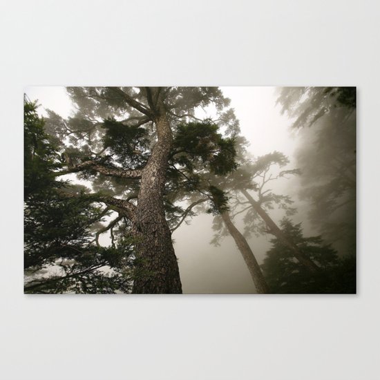 She follows me into the woods Canvas Print
