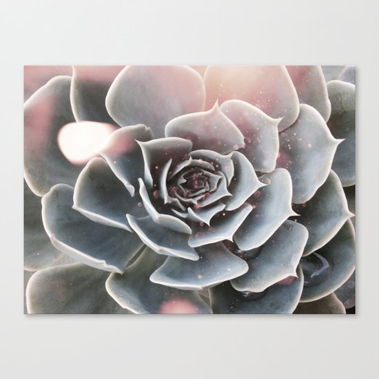 Shiny Succulent Canvas Print