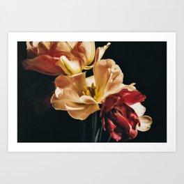 Sienna Flowers Art Print