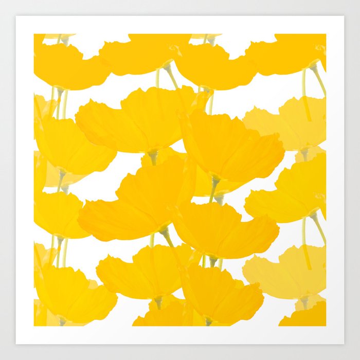 Yellow Mellow Poppies On A White Background #decor #society6 #buyart Art Print