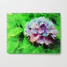 Purple Flower In Macro Shot Metal Print | Blue, Nature, Painting, Green, Macro, Pottery, Flower, Usa, Close Up, Jar 