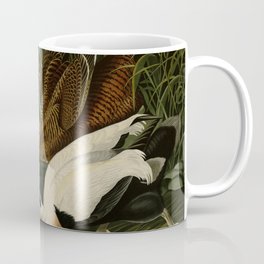 246 Eider Duck Coffee Mug