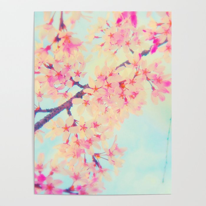 Cherry blossoms Poster